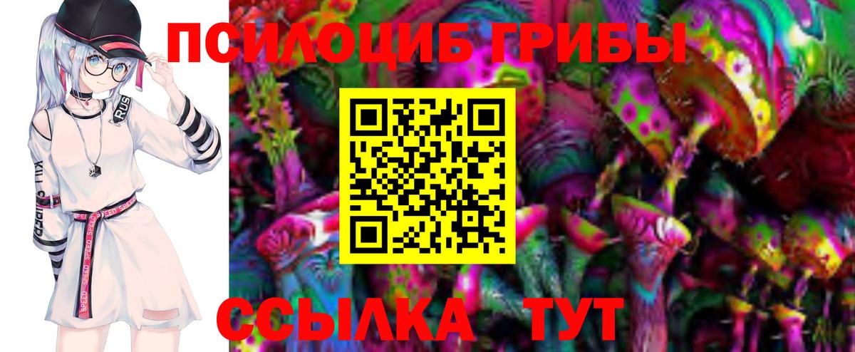 Галлюциногенные грибы мицелий Саров